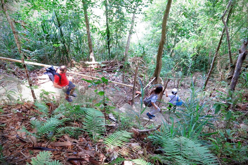 Picture 4 for Activity East Bohol: Anda, rice terraces, waterfalls, Lamanok island