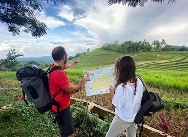 Bohol Est : Anda, rizières en terrasses, cascades, île de Lamanok