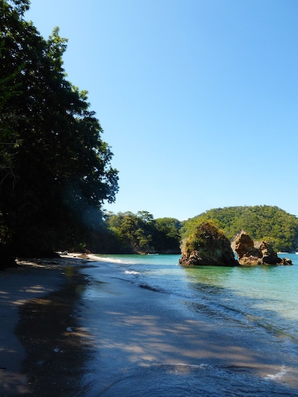 Picture 4 for Activity Paquera: Isla Tortuga Snorkeling tour