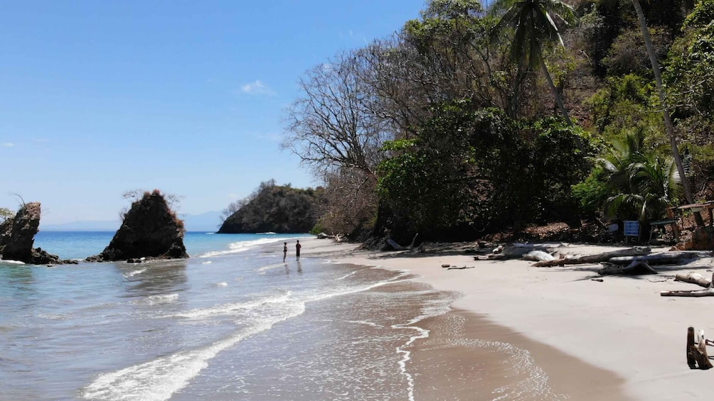 Picture 3 for Activity Paquera: Isla Tortuga Snorkeling tour