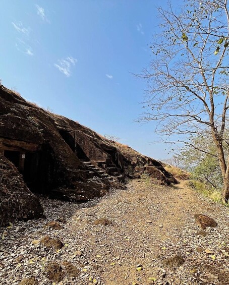 Picture 6 for Activity Sanjay Gandhi National Park + Kenheri Caves + Lion Safari