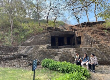 Sanjay Gandhi National Park + Kenheri Caves + Lion Safari