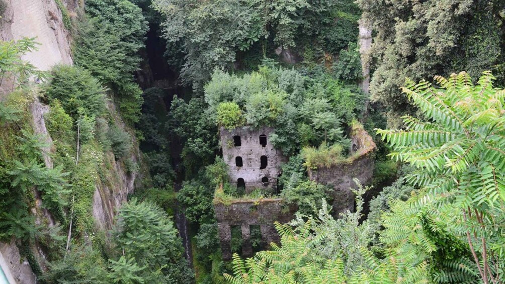 Picture 2 for Activity Sorrento: Guided Walking Tour & Limoncello Tasting