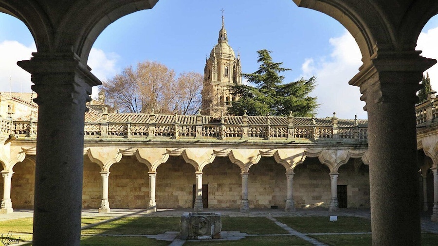 Salamanca: Miguel de Cervantes walking tour