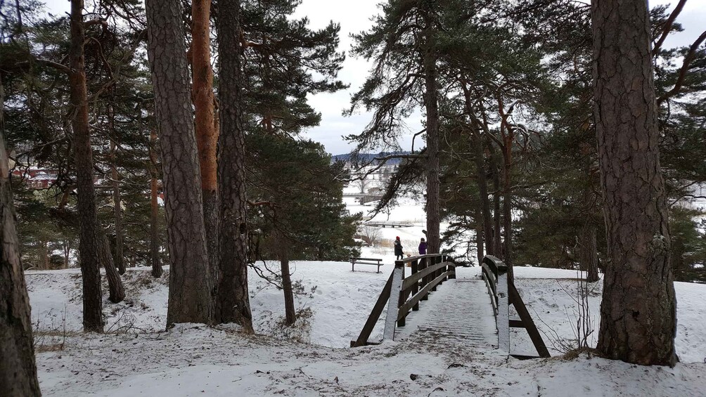 Picture 3 for Activity From Helsinki: Porvoo Guided Day Trip with Transportation