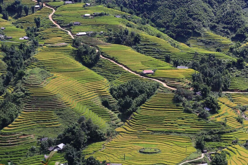 Picture 6 for Activity Sapa: Local Exploration on a Guided Motorbike Tour