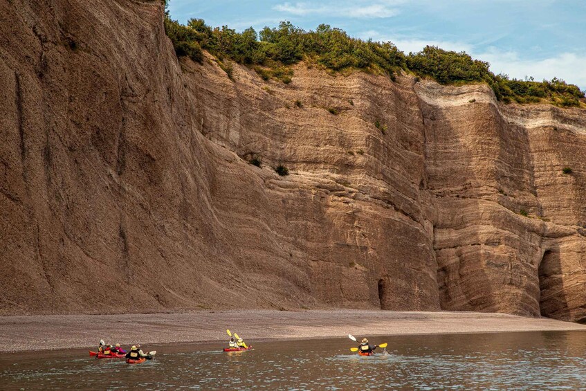 Picture 8 for Activity Saint John: Guided Kayaking Tour of St. Martins Sea Caves