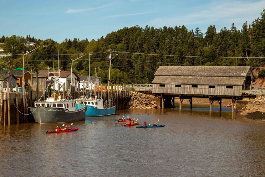 Saint John: Guided Kayaking Tour of St. Martins Sea Caves