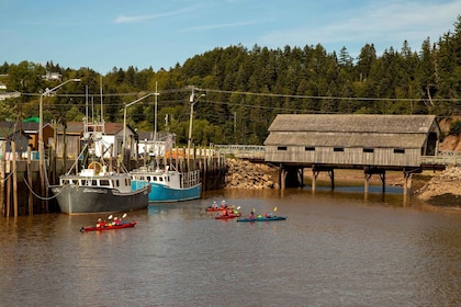 Saint John: Guided Kayaking Tour of St. Martins Sea Caves