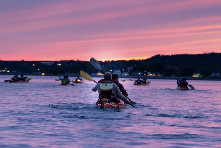 Picture 7 for Activity Saint John: Bay of Fundy Guided Kayaking Tour with Snack