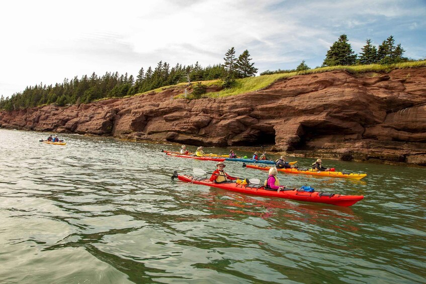 Picture 7 for Activity Saint John: Guided Kayaking Tour of St. Martins Sea Caves