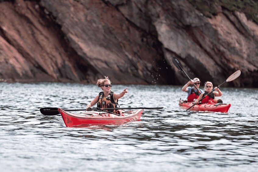 Picture 9 for Activity Saint John: Bay of Fundy Guided Kayaking Tour with Snack