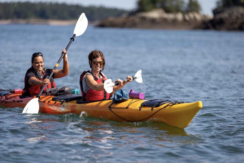 Saint John: Bay of Fundy Guided Kayaking Tour with Snack