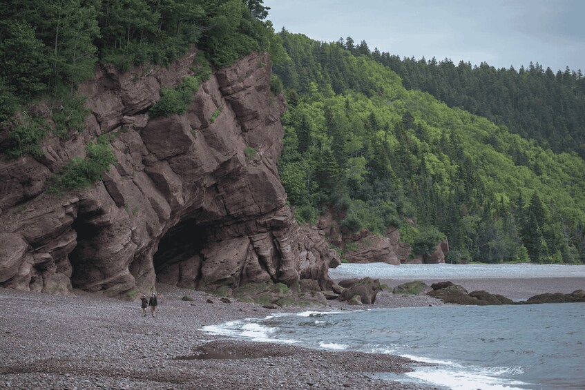 Picture 8 for Activity Saint John: Bay of Fundy Guided Kayaking Tour with Snack