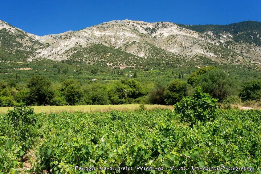 Picture 4 for Activity Kefalonia Adventure