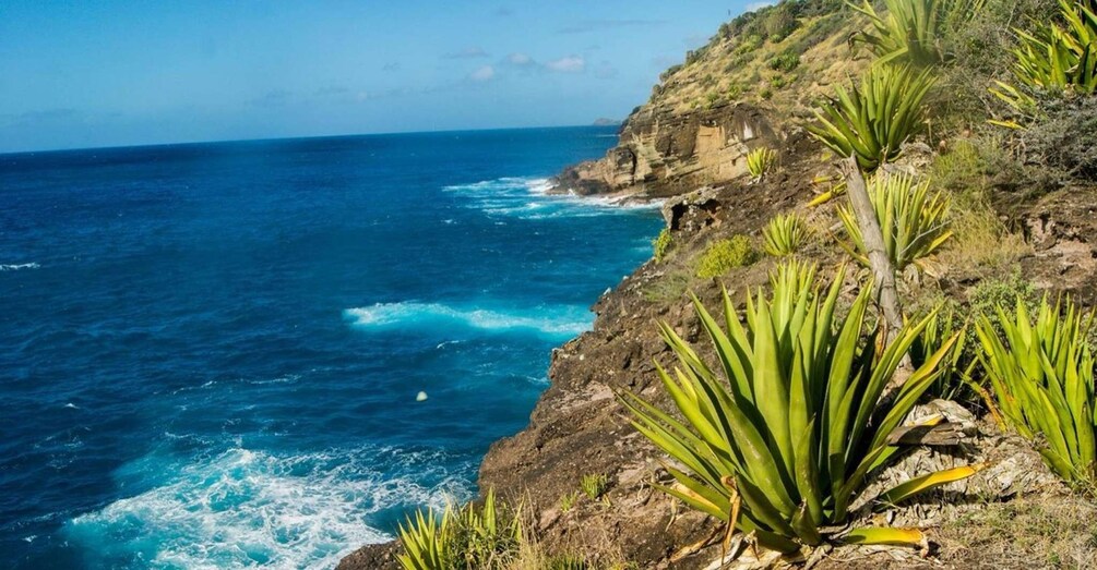 Picture 3 for Activity Antigua: Guided Morning and Sunset Hikes