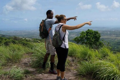 Antigua: Guided Morning and Sunset Hikes