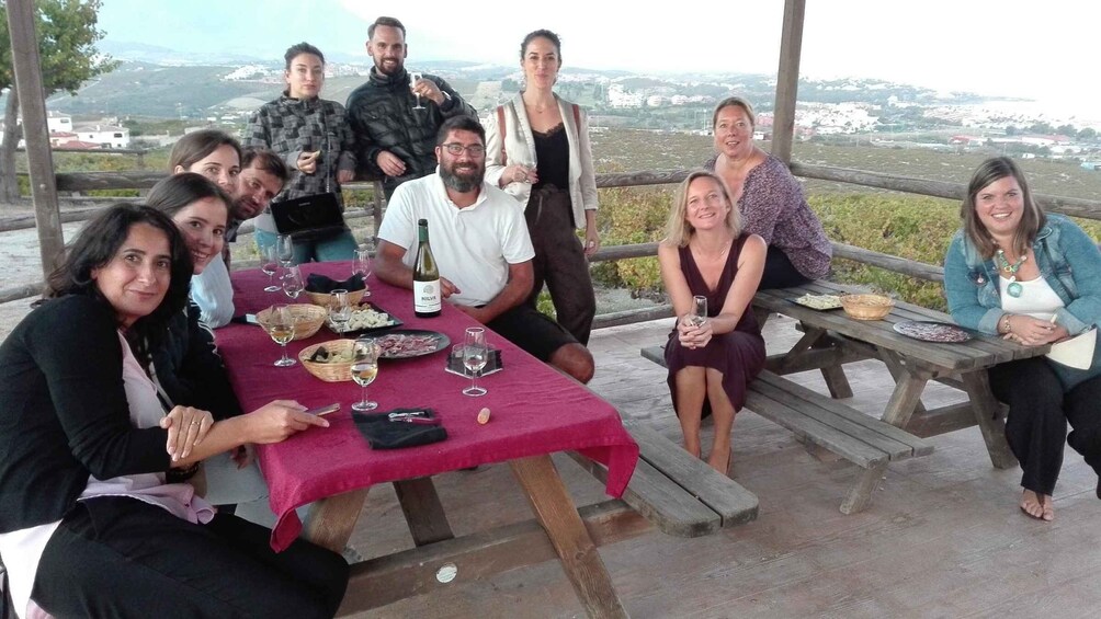 Picture 6 for Activity Manilva: Nilva wine experience - Wine & tapas