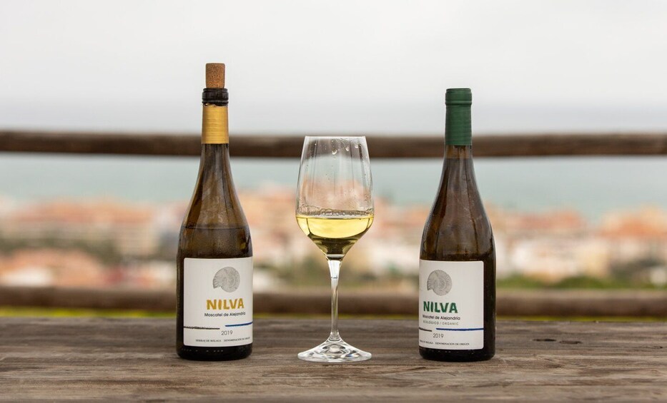 Picture 2 for Activity Manilva: Nilva wine experience - Wine & tapas