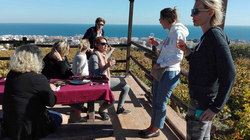 Manilva: Nilva Vineyard, Wine Tasting & Tapas Guided Tour