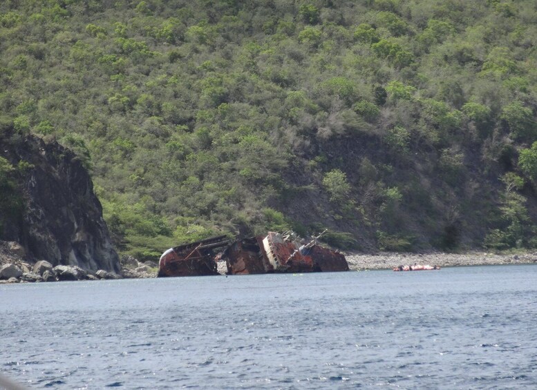 Picture 4 for Activity From Basseterre: St. Kitts and Nevis Cruise with Bar & Lunch