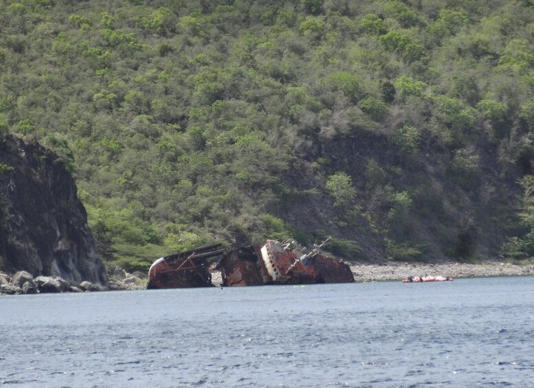 Picture 4 for Activity From Basseterre: St. Kitts and Nevis Cruise with Bar & Lunch