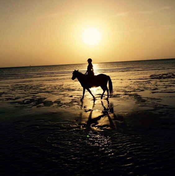 Picture 6 for Activity Turtle Snorkeling Tour, Zanzibar Horseback riding