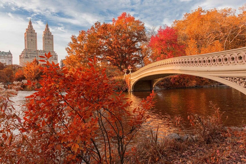 Picture 3 for Activity Central Park NYC: First Discovery Walk and Reading Tour