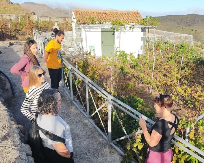 Picture 5 for Activity La Gomera: Winery Visit and Tasting Tour