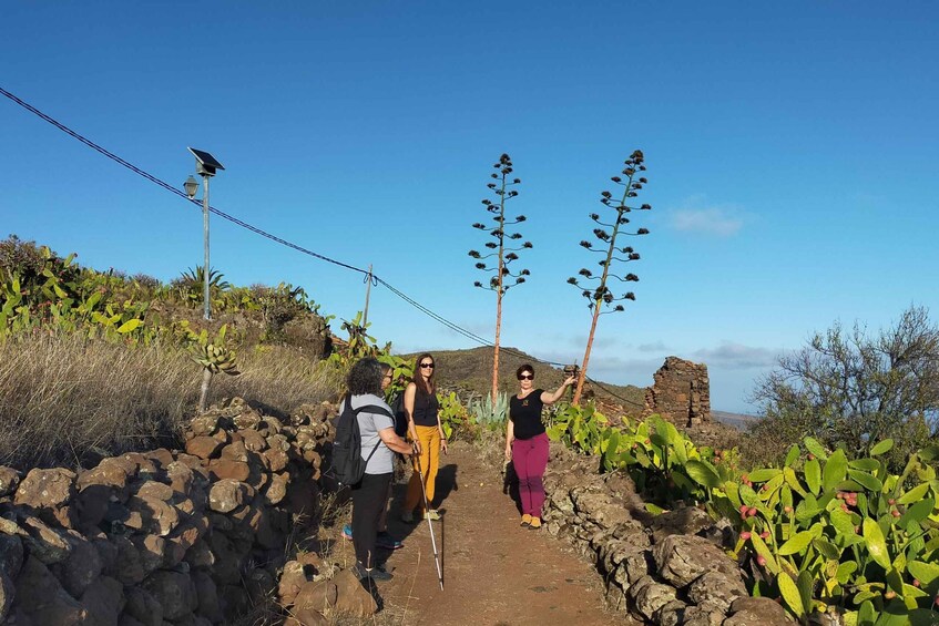 Picture 1 for Activity La Gomera: Winery Visit and Tasting Tour