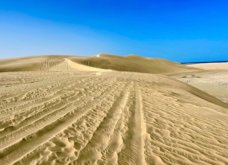 Picture 9 for Activity Relax Desert Safari, Sand Dune Bashing (Private Safari)