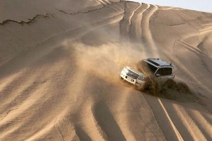 Relax Desert Safari, Sand Dune Bashing (Private Safari)