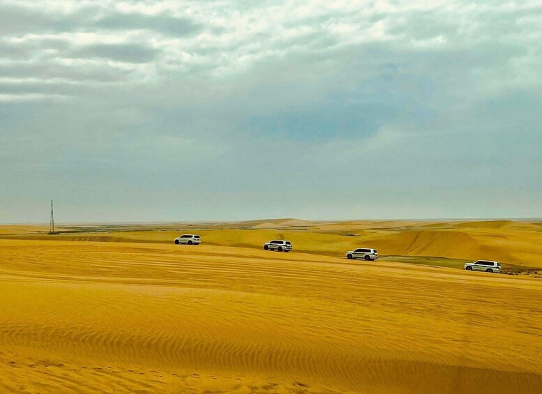 Picture 11 for Activity Relax Desert Safari, Sand Dune Bashing (Private Safari)