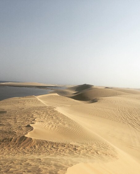 Picture 7 for Activity Relax Desert Safari, Sand Dune Bashing (Private Safari)