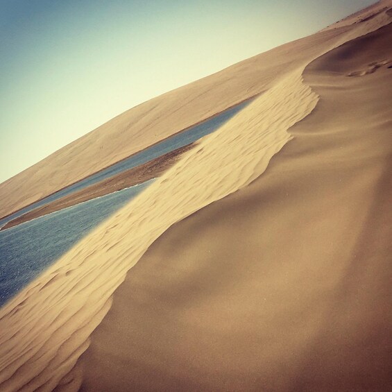Picture 9 for Activity Relax Desert Safari, Sand Dune Bashing (Private Safari)