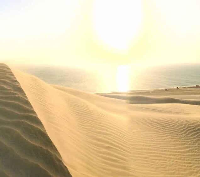 Picture 8 for Activity Relax Desert Safari, Sand Dune Bashing (Private Safari)