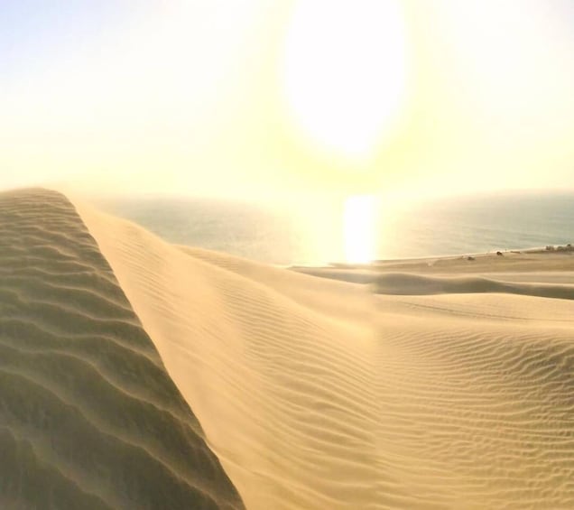 Picture 6 for Activity Relax Desert Safari, Sand Dune Bashing (Private Safari)