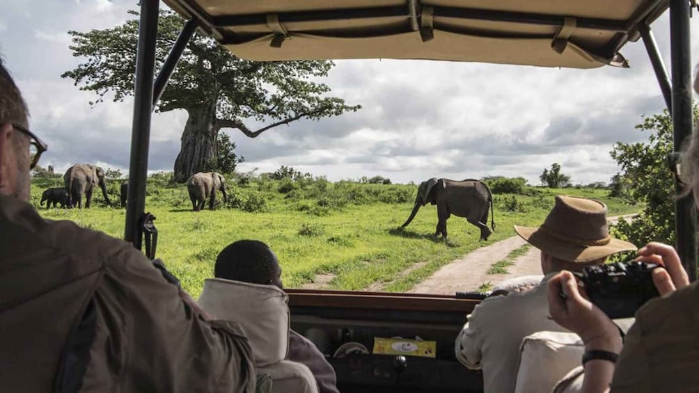 Picture 3 for Activity 5Days Masai Mara Safari on a 4x4 Land cruiser Jeep