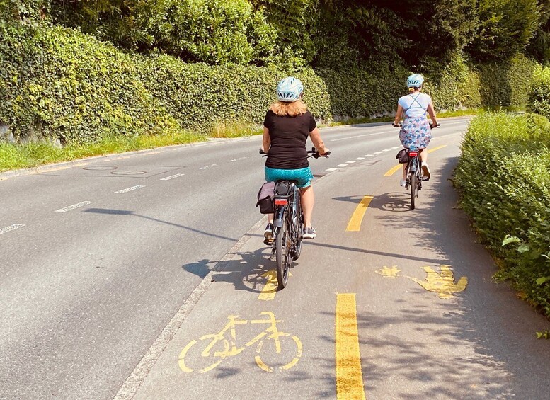 Picture 3 for Activity Lake Lucerne Peninsula e-bike Tour