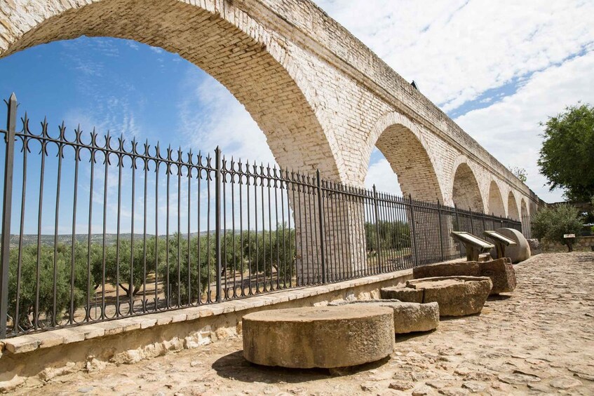 Picture 18 for Activity Baeza: Oil Tourism at Hacienda La Laguna