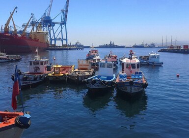 Private Valparaíso, Viña del Mar, Boat Ride & Sparkling Wine