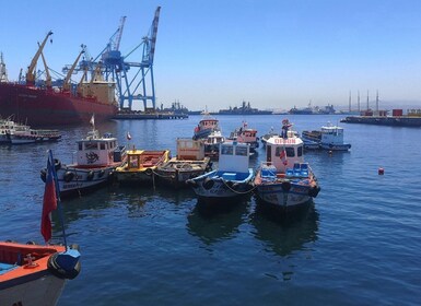 Private Valparaíso, Viña del Mar, Boat Ride & Sparkling Wine