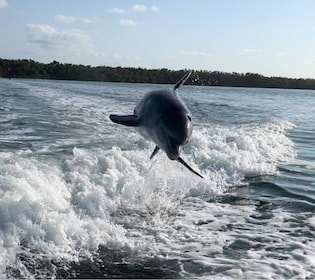 Islamorada: Privater Bootscharter mit mehreren Aktivitäten