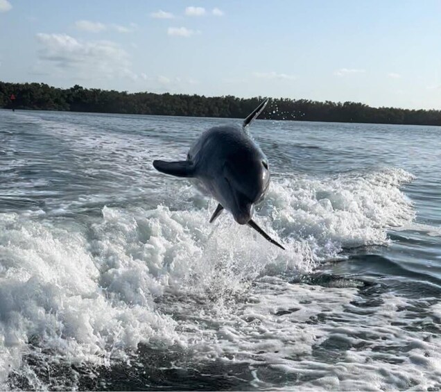 Islamorada: Multi-Activity Private Boat Charter