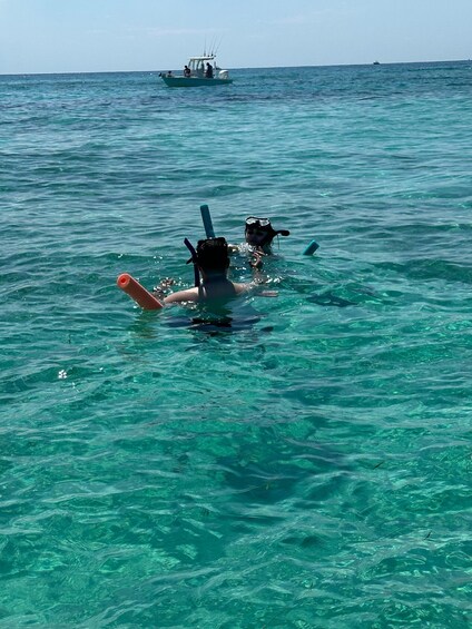 Picture 14 for Activity 4 Hour – Snorkel & Sandbar Adventure