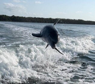 Islamorada: Multi-Activity Private Boat Charter