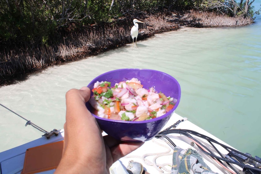 Picture 3 for Activity Holbox: Fishing and Sightseeing Boat Trip