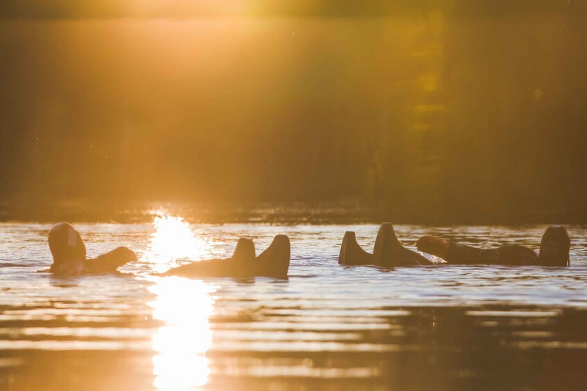 Picture 4 for Activity Rovaniemi: Arctic Autumn Floating