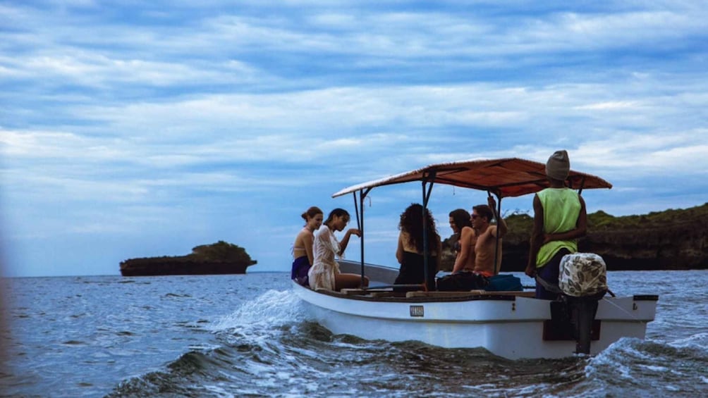 From Zanzibar: Jozani Forest With Watching Dolphin