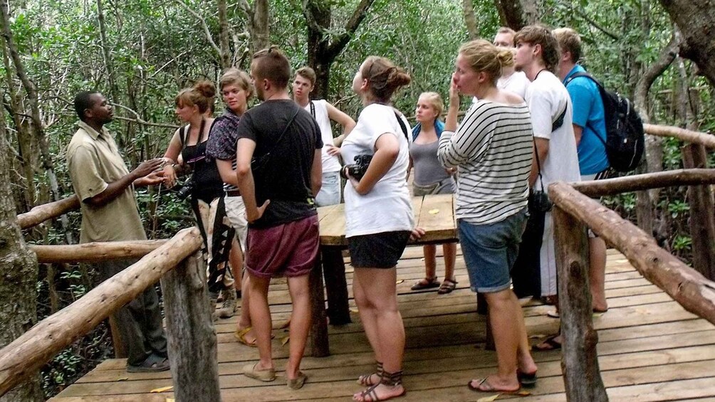 Picture 5 for Activity From Zanzibar: Jozani Forest With Watching Dolphin